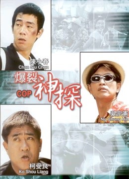 神探二又二分之一(全集)