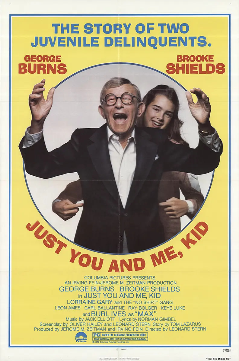 皓首红颜(全集)