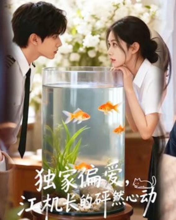 独家偏爱，江机长的砰然心动&恋心月下(全集)