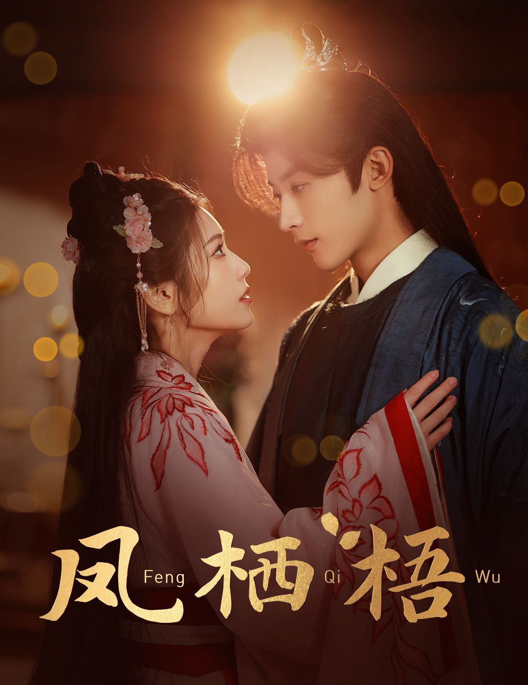 凤栖梧第21-40集