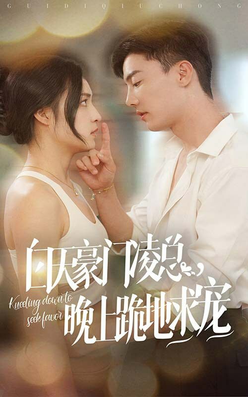 白天豪门凌总晚上跪地求宠第1-20集