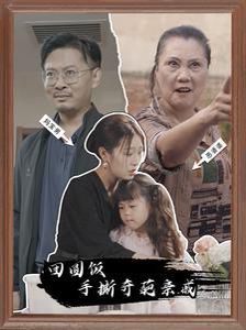 团圆饭手撕奇葩亲戚第1-20集