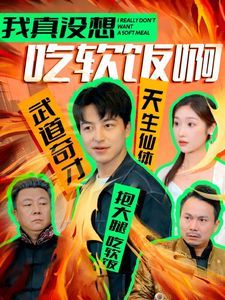 我真没想吃软饭啊第1-20集