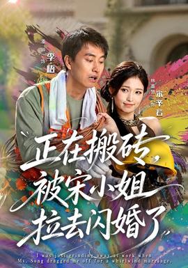 正在搬砖，被宋小姐拉去闪婚了(全集)